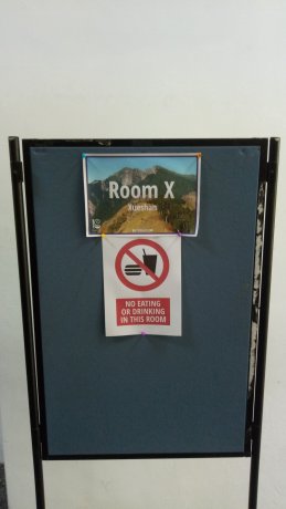 Xueshan Room X