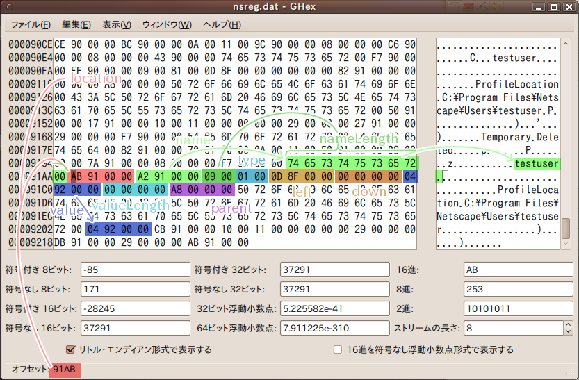 スクリーンショット：実際のnsreg.datの内容をバイナリエディタで表示した様子