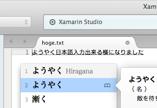 Xaramain Studioでの日本語入力の様子