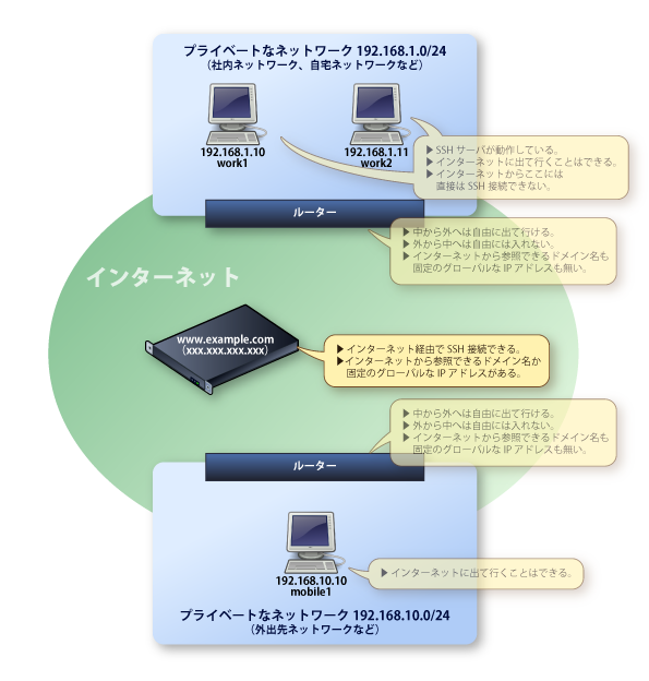 画像：インターネット上のwww.example.comを挟んで2つのLANが向かい合っている様子